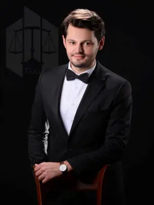 ceza avukatı istanbul