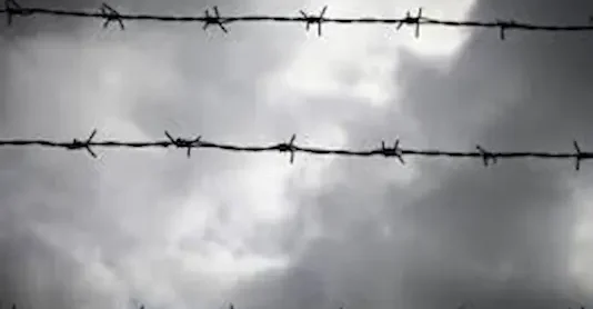 sınır dışı kararının iptali